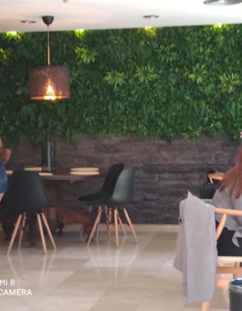 El Caprichio de Gaudí